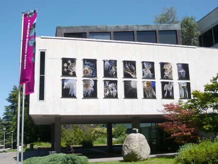 façade du museum