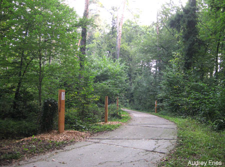 Sentier à  Bussigny