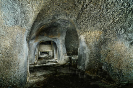 Champignonnières de la Bâtie