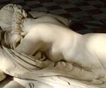 hermaphro