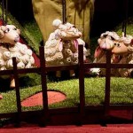 tmg_mouton_960