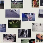 esp_images5_960