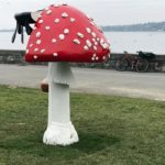 carstenholler_qwilson
