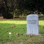 motti_rois_340