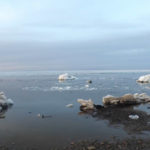 rochat_1200