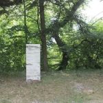 gonzenbach_340